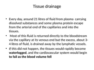 Tissue drainage
• Every day, around 21 litres of fluid from plasma carrying
dissolved substances and some plasma protein escape
from the arterial end of the capillaries and into the
tissues.
• Most of this fluid is returned directly to the bloodstream
via the capillary at its venous end but the excess, about 3-
4 litres of fluid, is drained away by the lymphatic vessels.
• If this did not happen, the tissues would rapidly become
waterlogged, and the cardiovascular system would begin
to fail as the blood volume fell
 