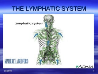 THE LYMPHATIC SYSTEM KIMBERLY A BEDFORD 