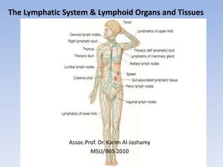 The Lymphatic System & Lymphoid Organs and Tissues




               Assoc.Prof. Dr. Karim Al-Jashamy
                       MSU/IMS 2010
 