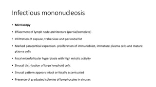 Infectious mononucleosis
• Microscopy
• Effacement of lymph node architecture (partial/complete)
• Infiltration of capsule, trabeculae and perinodal fat
• Marked paracortical expansion- proliferation of immunoblast, immature plasma cells and mature
plasma cells
• Focal microfollicular hyperplasia with high mitotic activity
• Sinusal distribution of large lymphoid cells
• Sinusal pattern appears intact or focally accentuated
• Presence of graduated colonies of lymphocytes in sinuses
 