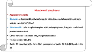 Mantle cell lymphoma
• Aggressive variants
• Blastoid: cells resembling lymphoblasts with dispersed chromatin and high
mitotic rate 20-30/10 hpf
• Pleomorphic: cells are pleomorphic with pale cytoplasm, irregular nuclei and
prominent nucleoli
• Other variants- small cell like, marginal zone like
• Translocation: t(11,14)
• Cyclin D1 negative MCL- have high expression of cyclin D2 {t(2,12)} and cyclin
D3
 
