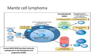 Mantle cell lymphoma
t(11,14)
Cyclin D1
P16,CDK4,RB,ARF,
MDM2
Current (WHO 2016) described molecular
pathogenesis in the development and
progression of MCL
 