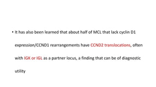 • It has also been learned that about half of MCL that lack cyclin D1
expression/CCND1 rearrangements have CCND2 translocations, often
with IGK or IGL as a partner locus, a finding that can be of diagnostic
utility
 