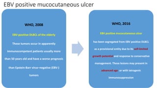 EBV positive mucocutaneous ulcer
WHO, 2008
EBV-positive DLBCL of the elderly
These tumors occur in apparently
immunocompetent patients usually more
than 50 years old and have a worse prognosis
than Epstein-Barr virus–negative (EBV-)
tumors
WHO, 2016
EBV positive mucocutaneous ulcer
has been segregated from EBV positive DLBCL
as a provisional entity due to its self-limited
growth potential and response to conservative
management. These lesions may present in
advanced age or with iatrogenic
immunosuppression
 