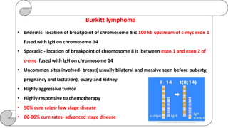 Burkitt lymphoma
• Endemic- location of breakpoint of chromosome 8 is 100 kb upstream of c-myc exon 1
fused with IgH on chromosome 14
• Sporadic - location of breakpoint of chromosome 8 is between exon 1 and exon 2 of
c-myc fused with IgH on chromosome 14
• Uncommon sites involved- breast( usually bilateral and massive seen before puberty,
pregnancy and lactation), ovary and kidney
• Highly aggressive tumor
• Highly responsive to chemotherapy
• 90% cure rates- low stage disease
• 60-80% cure rates- advanced stage disease
 