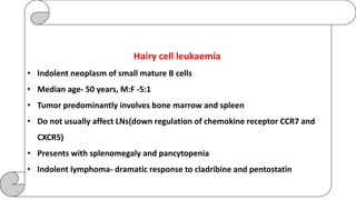 Hairy cell leukaemia
• Indolent neoplasm of small mature B cells
• Median age- 50 years, M:F -5:1
• Tumor predominantly involves bone marrow and spleen
• Do not usually affect LNs(down regulation of chemokine receptor CCR7 and
CXCR5)
• Presents with splenomegaly and pancytopenia
• Indolent lymphoma- dramatic response to cladribine and pentostatin
 