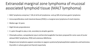 Extranodal marginal zone lymphoma of mucosal
associated lymphoid tissue (MALT lymphoma)
• MALT lymphoma comprises 7- 8% of all B-cell lymphomas and up 50% of primary gastric lymphoma
• Immunoproliferative small intestinal disease (IPSID) is a marginal zone lymphoma of small intestine
• Median age- 61 years
• Slight female preponderance
• H. pylori thought to play a role, secondary to atrophic gastritis
• Chlamydia psittaci, campylobacter jejuni and borrelia burgdorferi has been proposed for some cases of ocular
adnexal MALT lymphomas, IPSID and cutaneous MALTomas
• Marginal zone lymphoma appears secondary to sjogrens syndrome/lymphoepithelial sialadenitis and hashimotos
thyroiditis in salivary gland and thyroid respectively
 