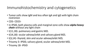 Immunohistochemistry and cytogenetics
• Tumor cells show IgM and less often IgA and IgG with light chain
restriction
• CD5- CD23-
• In IPSID, both plasma cells and marginal zone cells show alpha heavy
chain without any light chain
• t(11,18)- pulmonary and gastric MZL
• t(14,18)- ocular adnexa/orbit and salivary gland MZL
• t(3,14)- thyroid, skin and ocular adnexa/orbit MZL
• Trisomy 3- IPSID, salivary gland, ocular adnexa/orbit MZL
• Trisomy 18- IPSID
 