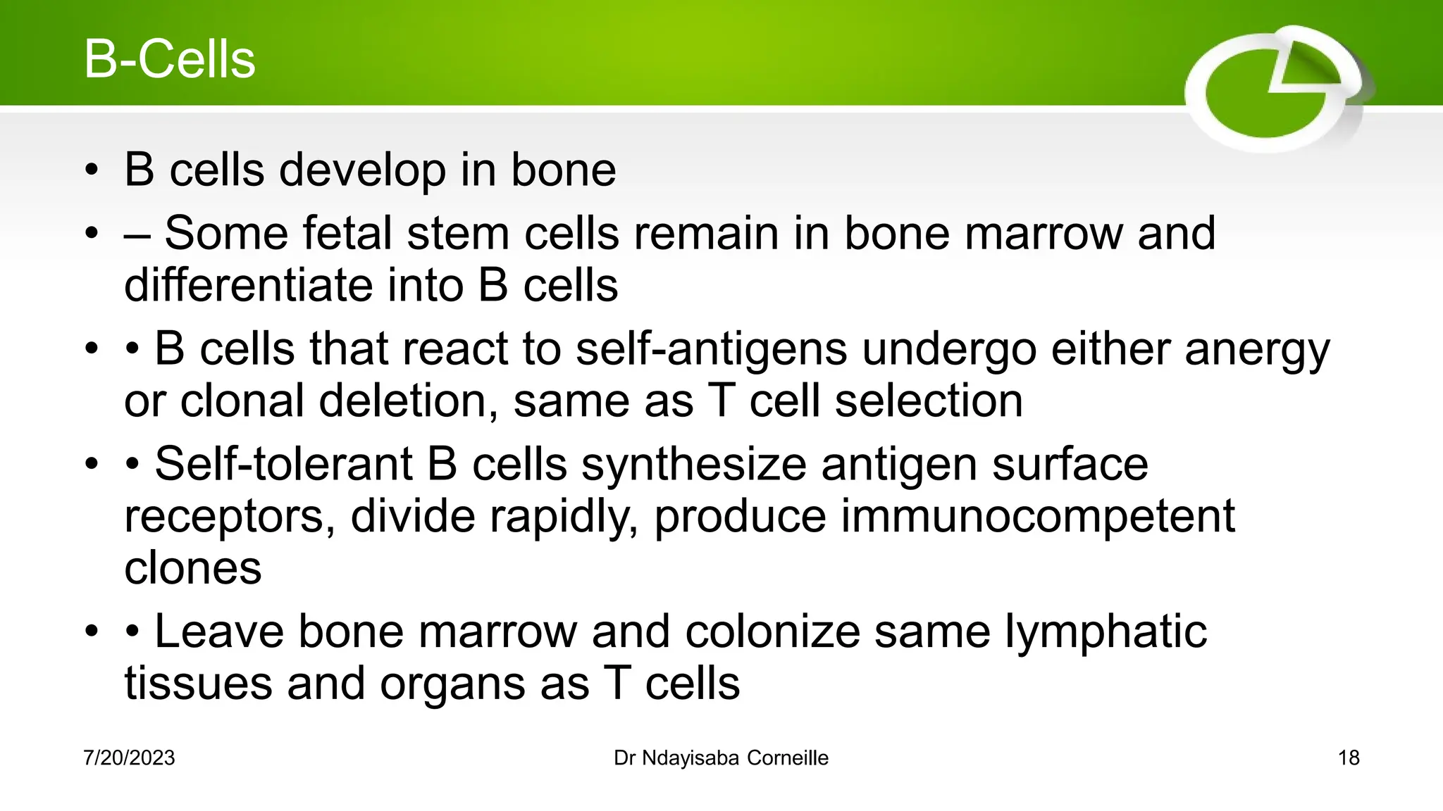 B-Cells
• B cells develop in bone
• – Some fetal stem cells remain in bone marrow and
differentiate into B cells
• • B cells that react to self-antigens undergo either anergy
or clonal deletion, same as T cell selection
• • Self-tolerant B cells synthesize antigen surface
receptors, divide rapidly, produce immunocompetent
clones
• • Leave bone marrow and colonize same lymphatic
tissues and organs as T cells
7/20/2023 Dr Ndayisaba Corneille 18
 