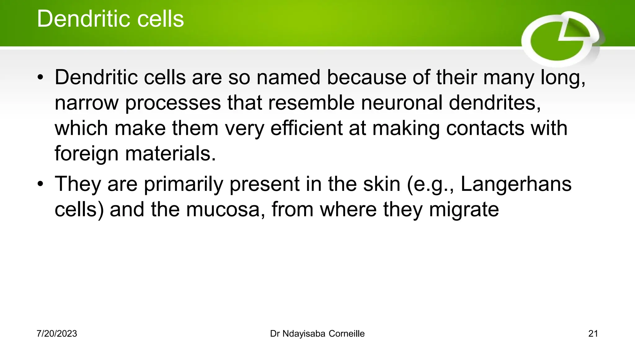 Dendritic cells
• Dendritic cells are so named because of their many long,
narrow processes that resemble neuronal dendrites,
which make them very efficient at making contacts with
foreign materials.
• They are primarily present in the skin (e.g., Langerhans
cells) and the mucosa, from where they migrate
7/20/2023 Dr Ndayisaba Corneille 21
 