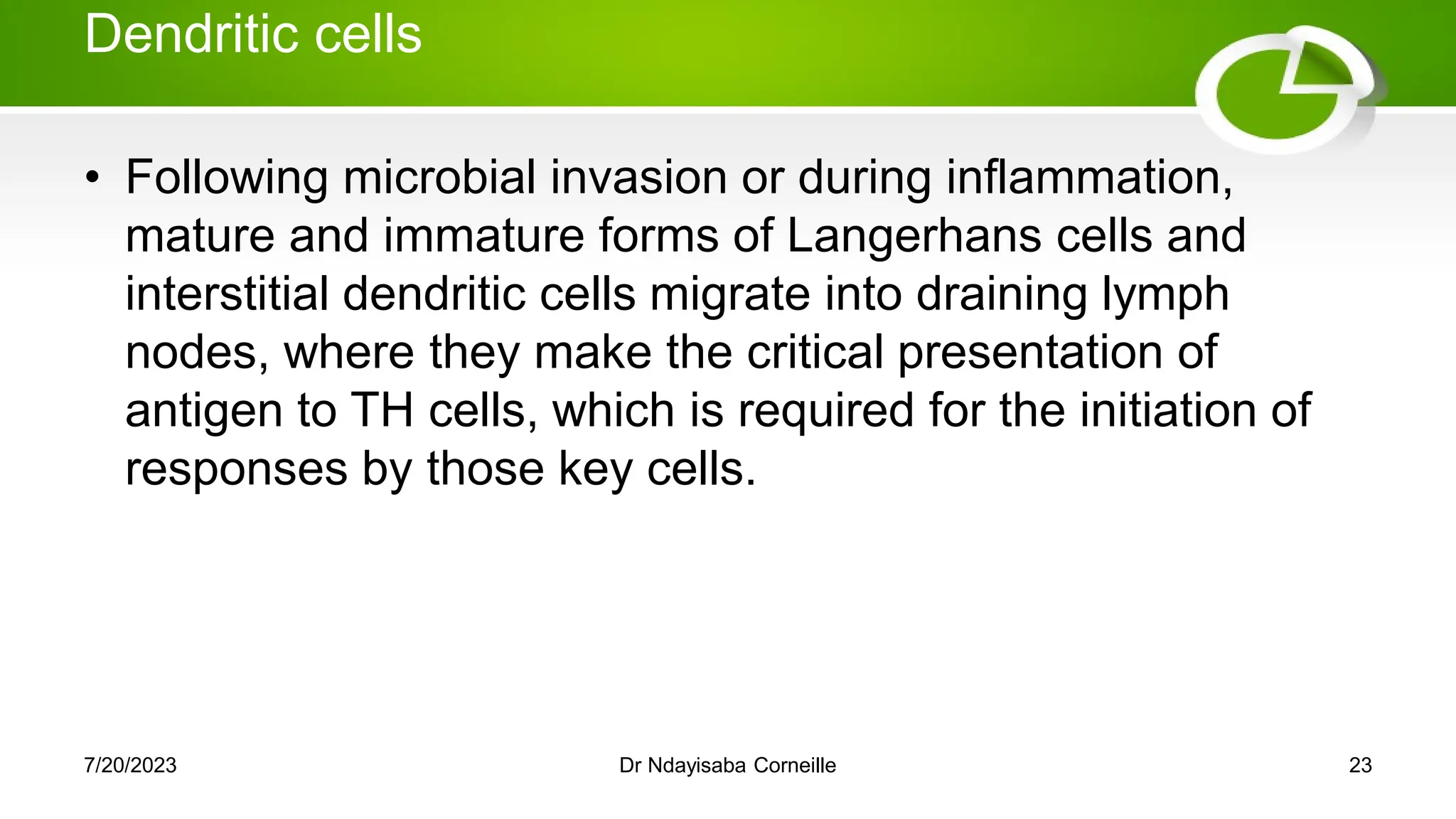 Dendritic cells
• Following microbial invasion or during inflammation,
mature and immature forms of Langerhans cells and
interstitial dendritic cells migrate into draining lymph
nodes, where they make the critical presentation of
antigen to TH cells, which is required for the initiation of
responses by those key cells.
7/20/2023 Dr Ndayisaba Corneille 23
 