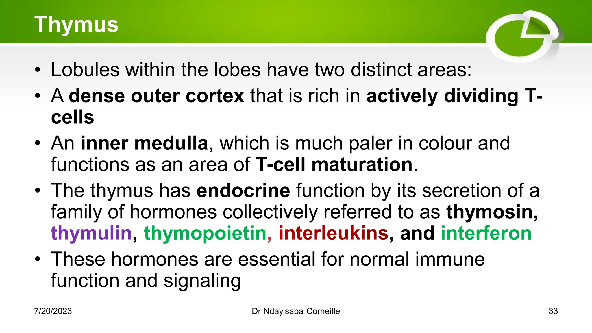 Thymus
• Lobules within the lobes have two distinct areas:
• A dense outer cortex that is rich in actively dividing T-
cells
• An inner medulla, which is much paler in colour and
functions as an area of T-cell maturation.
• The thymus has endocrine function by its secretion of a
family of hormones collectively referred to as thymosin,
, thymopoietin , and interferon
• These hormones are essential for normal immune
function and signaling
7/20/2023 Dr Ndayisaba Corneille 33
 