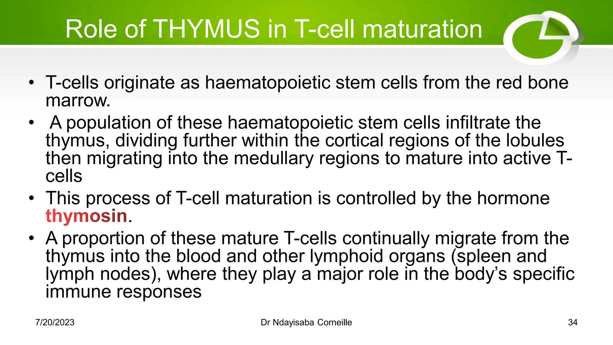 Role of THYMUS in T-cell maturation
• T-cells originate as haematopoietic stem cells from the red bone
marrow.
• A population of these haematopoietic stem cells infiltrate the
thymus, dividing further within the cortical regions of the lobules
then migrating into the medullary regions to mature into active T-
cells
• This process of T-cell maturation is controlled by the hormone
.
• A proportion of these mature T-cells continually migrate from the
thymus into the blood and other lymphoid organs (spleen and
lymph nodes), where they play a major role in the body‘s specific
immune responses
7/20/2023 Dr Ndayisaba Corneille 34
 