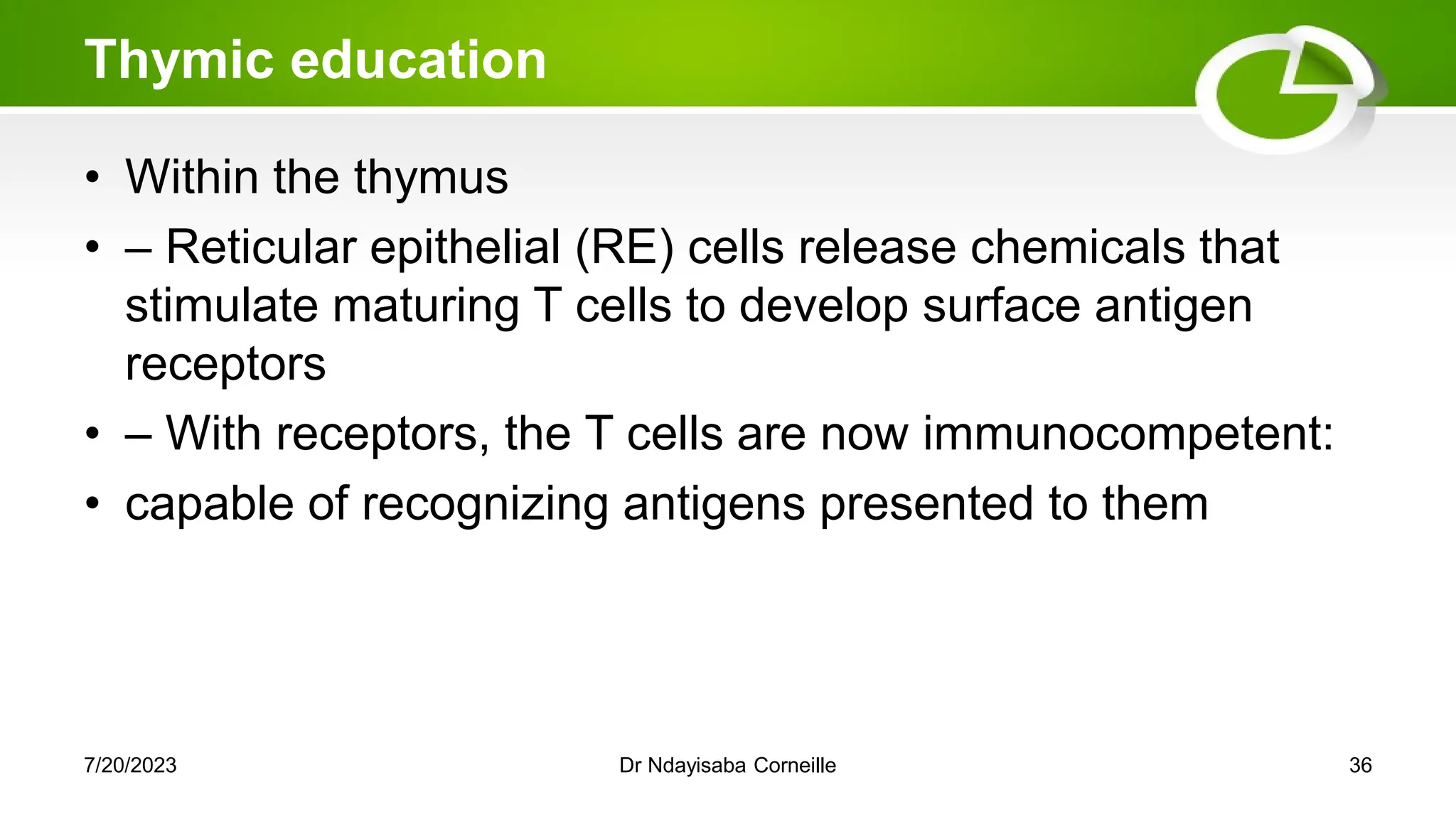 Thymic education
• Within the thymus
• – Reticular epithelial (RE) cells release chemicals that
stimulate maturing T cells to develop surface antigen
receptors
• – With receptors, the T cells are now immunocompetent:
• capable of recognizing antigens presented to them
7/20/2023 Dr Ndayisaba Corneille 36
 
