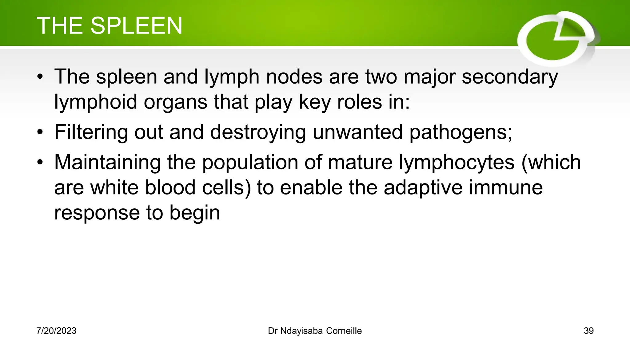 THE SPLEEN
• The spleen and lymph nodes are two major secondary
lymphoid organs that play key roles in:
• Filtering out and destroying unwanted pathogens;
• Maintaining the population of mature lymphocytes (which
are white blood cells) to enable the adaptive immune
response to begin
7/20/2023 Dr Ndayisaba Corneille 39
 