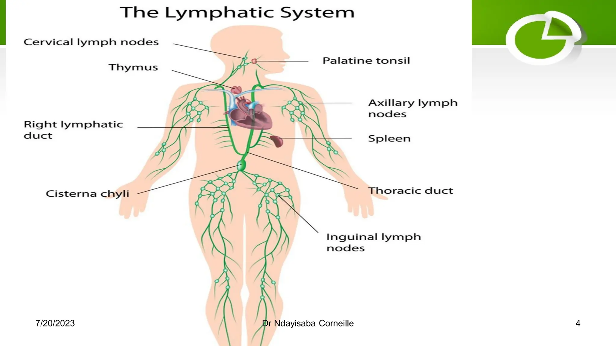 7/20/2023 Dr Ndayisaba Corneille 4
 