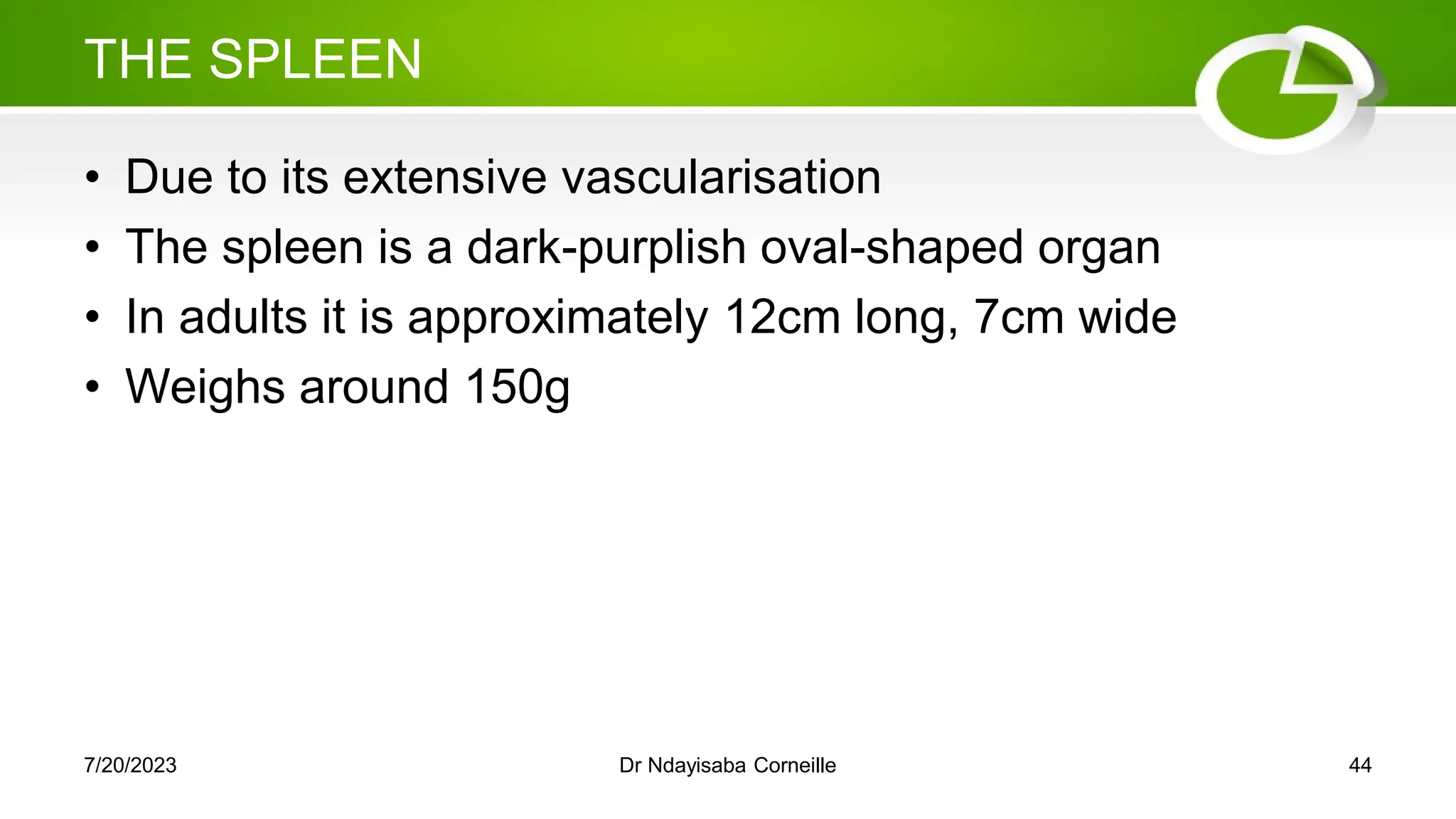 THE SPLEEN
• Due to its extensive vascularisation
• The spleen is a dark-purplish oval-shaped organ
• In adults it is approximately 12cm long, 7cm wide
• Weighs around 150g
7/20/2023 Dr Ndayisaba Corneille 44
 