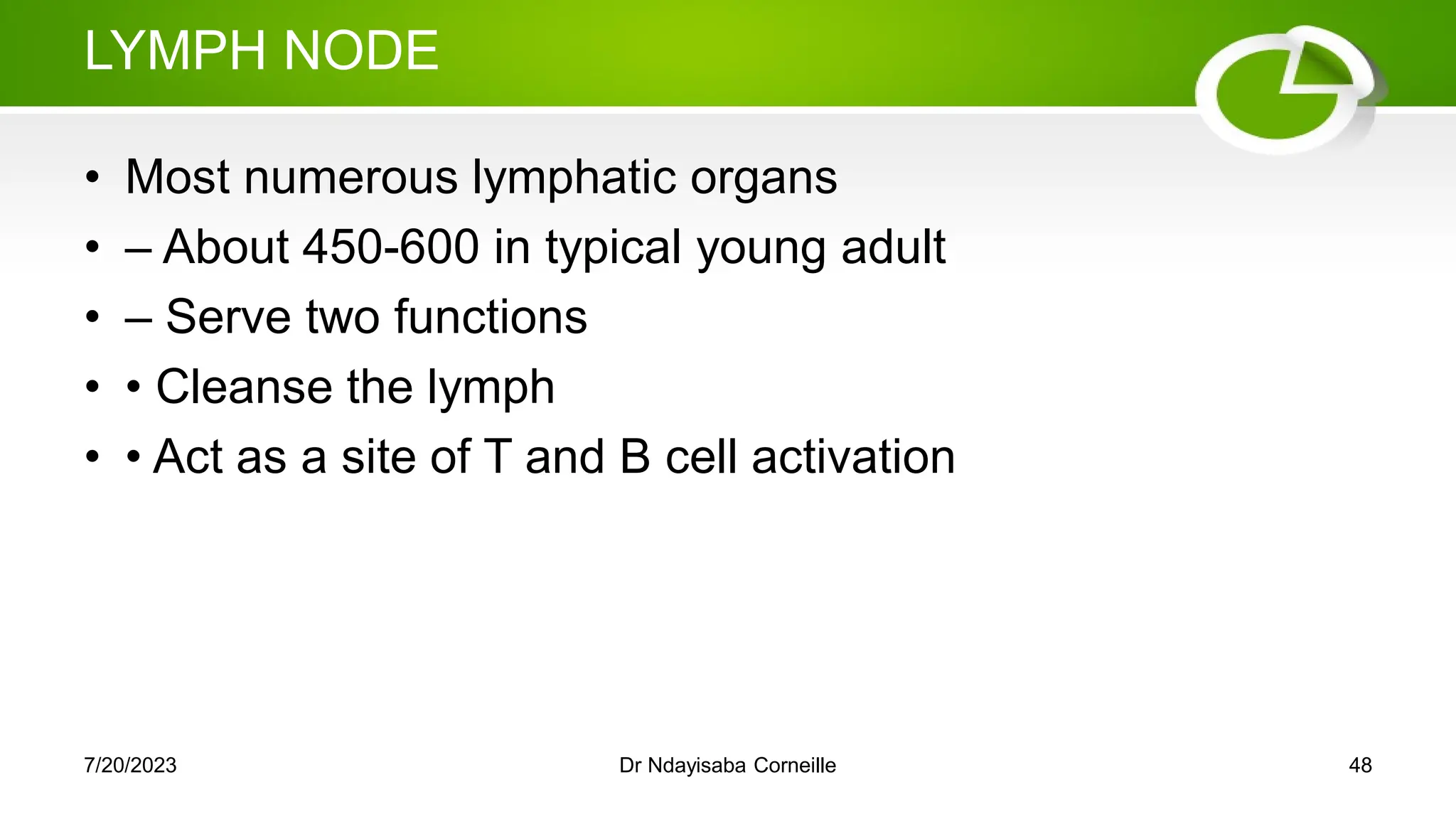 LYMPH NODE
• Most numerous lymphatic organs
• – About 450-600 in typical young adult
• – Serve two functions
• • Cleanse the lymph
• • Act as a site of T and B cell activation
7/20/2023 Dr Ndayisaba Corneille 48
 