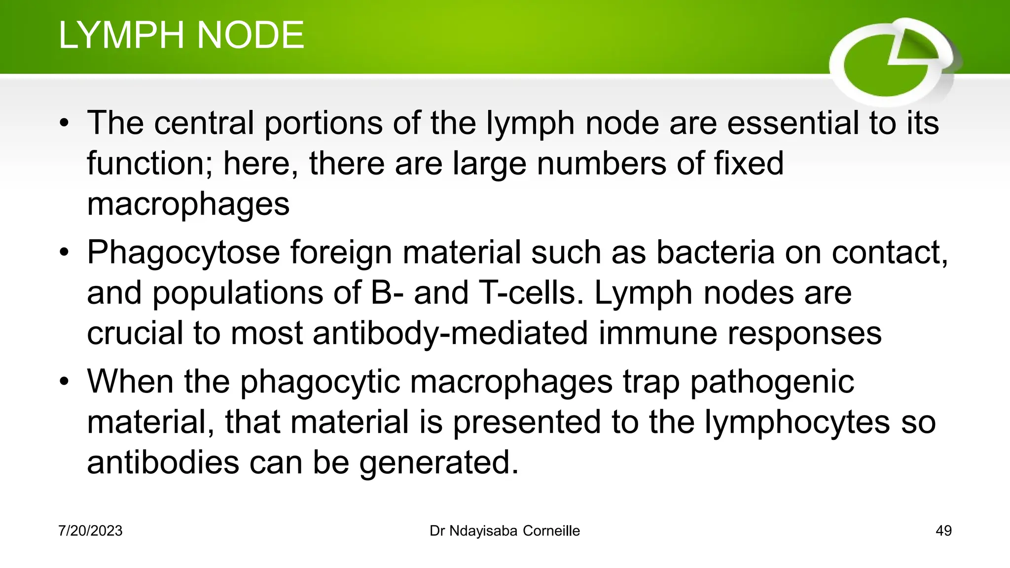 LYMPH NODE
• The central portions of the lymph node are essential to its
function; here, there are large numbers of fixed
macrophages
• Phagocytose foreign material such as bacteria on contact,
and populations of B- and T-cells. Lymph nodes are
crucial to most antibody-mediated immune responses
• When the phagocytic macrophages trap pathogenic
material, that material is presented to the lymphocytes so
antibodies can be generated.
7/20/2023 Dr Ndayisaba Corneille 49
 