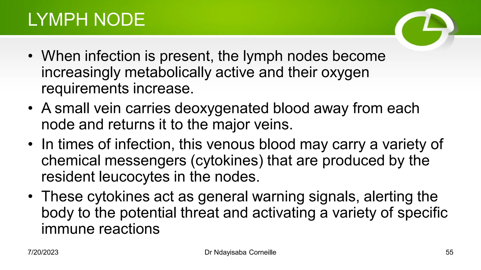 LYMPH NODE
• When infection is present, the lymph nodes become
increasingly metabolically active and their oxygen
requirements increase.
• A small vein carries deoxygenated blood away from each
node and returns it to the major veins.
• In times of infection, this venous blood may carry a variety of
chemical messengers (cytokines) that are produced by the
resident leucocytes in the nodes.
• These cytokines act as general warning signals, alerting the
body to the potential threat and activating a variety of specific
immune reactions
7/20/2023 Dr Ndayisaba Corneille 55
 