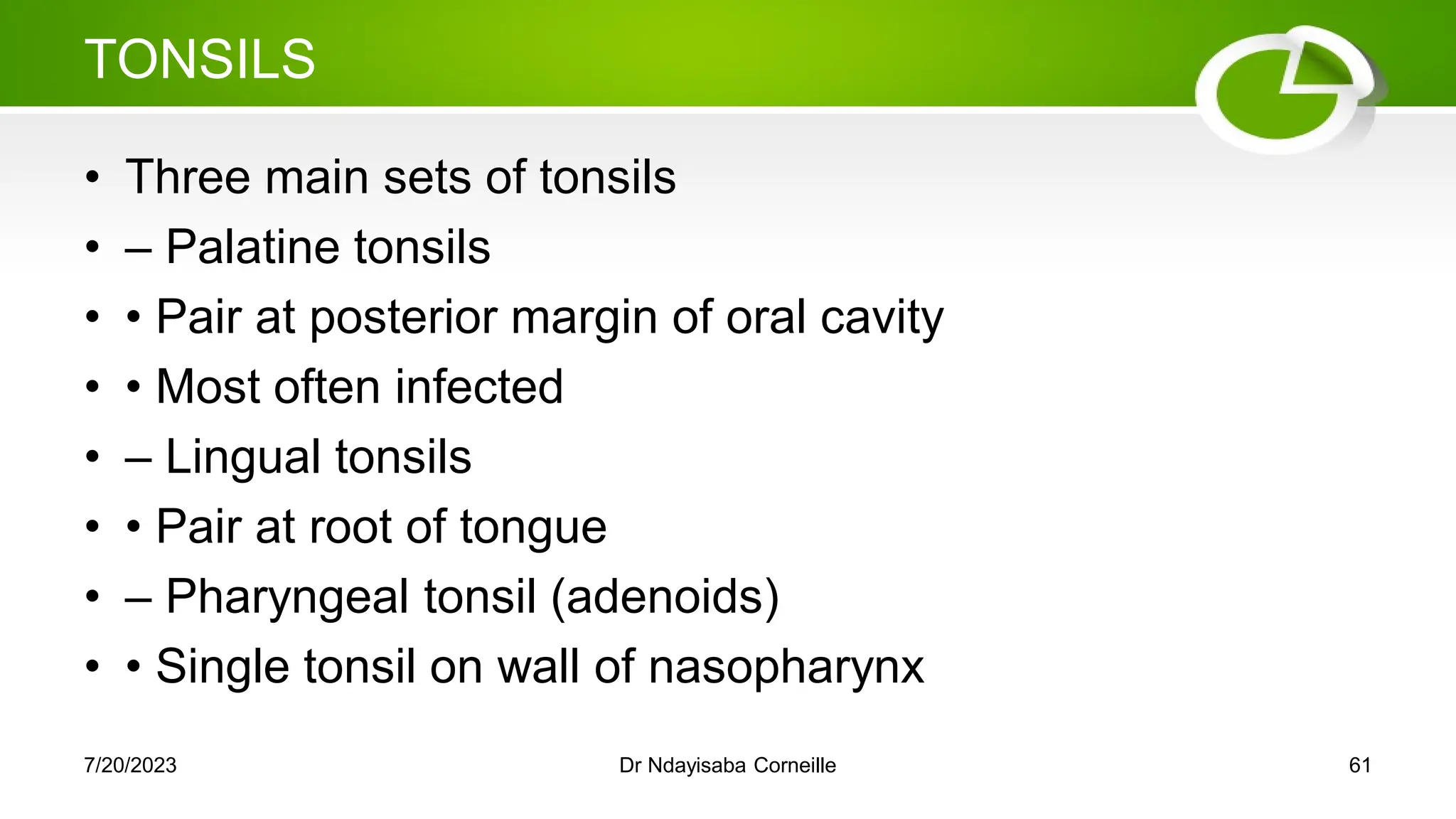 TONSILS
• Three main sets of tonsils
• – Palatine tonsils
• • Pair at posterior margin of oral cavity
• • Most often infected
• – Lingual tonsils
• • Pair at root of tongue
• – Pharyngeal tonsil (adenoids)
• • Single tonsil on wall of nasopharynx
7/20/2023 Dr Ndayisaba Corneille 61
 