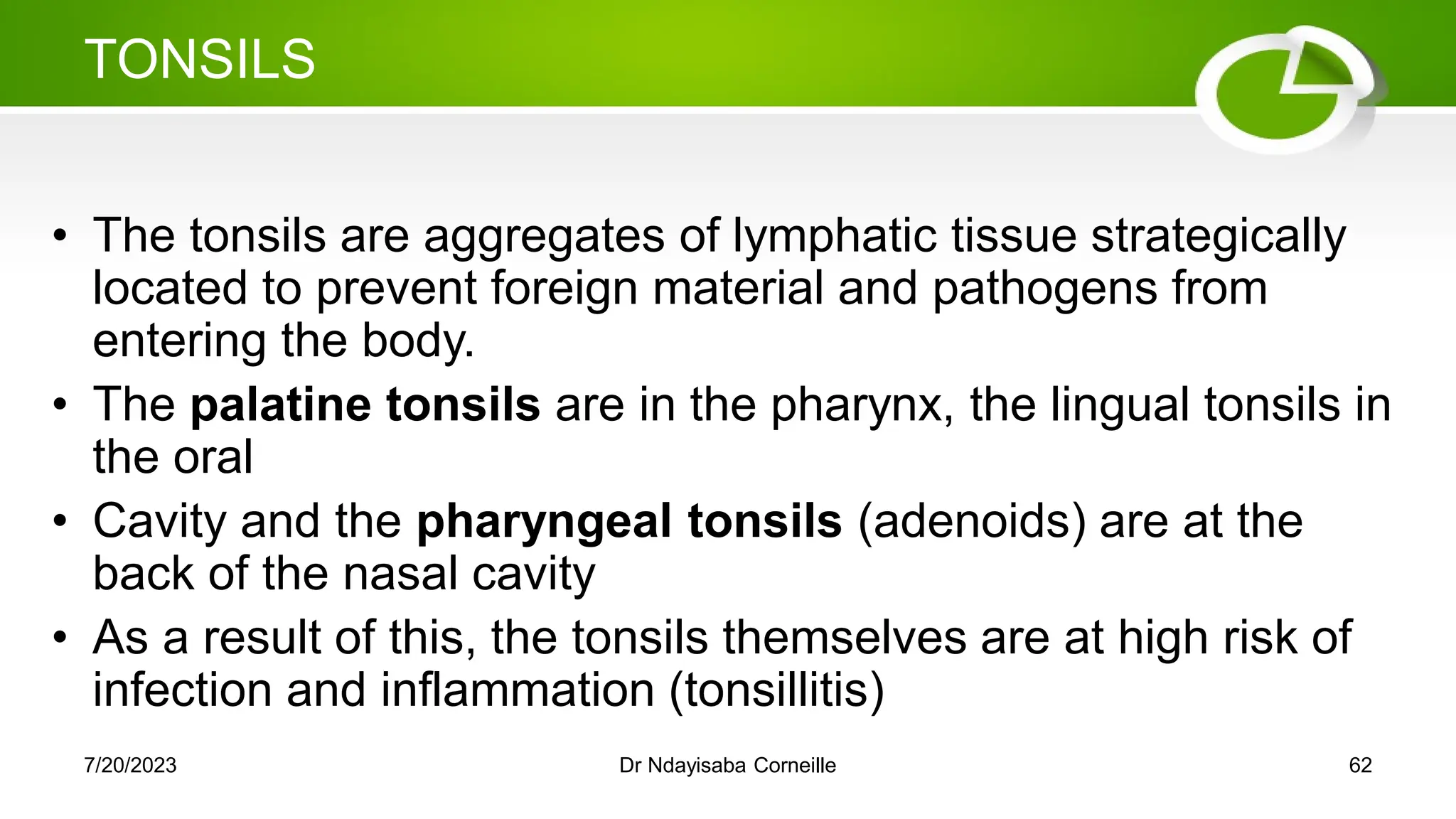 TONSILS
• The tonsils are aggregates of lymphatic tissue strategically
located to prevent foreign material and pathogens from
entering the body.
• The palatine tonsils are in the pharynx, the lingual tonsils in
the oral
• Cavity and the pharyngeal tonsils (adenoids) are at the
back of the nasal cavity
• As a result of this, the tonsils themselves are at high risk of
infection and inflammation (tonsillitis)
7/20/2023 Dr Ndayisaba Corneille 62
 