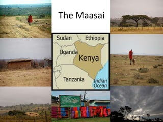 The Maasai
 