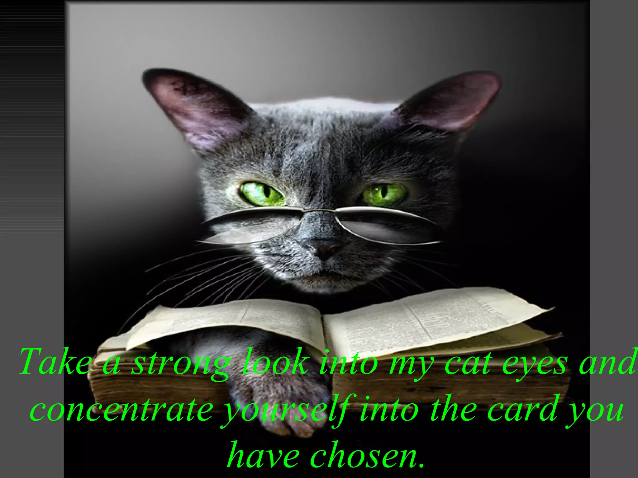 The magic cat eye | PPS