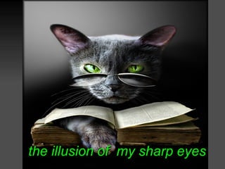 the illusion of my sharp eyes
 
