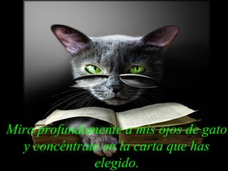 Mira profundamente a mis ojos de gato
  y concéntrate en la carta que has
              elegido.
 