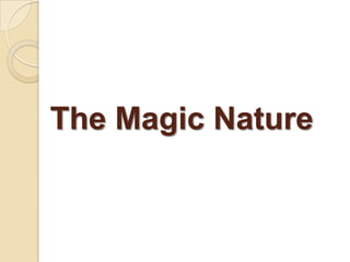 The Magic Nature

 