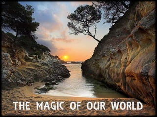 THE MAGIC OF OUR WORLD 