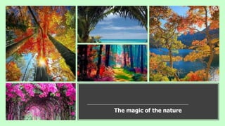 The magic of the nature
 