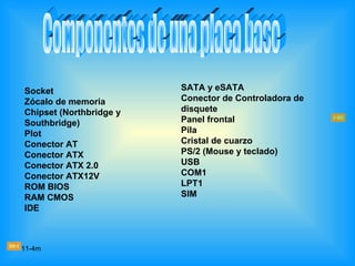 Socket                   SATA y eSATA
Zócalo de memoria        Conector de Controladora de
Chipset (Northbridge y   disquete
Southbridge)             Panel frontal
Plot                     Pila
Conector AT              Cristal de cuarzo
Conector ATX             PS/2 (Mouse y teclado)
Conector ATX 2.0         USB
Conector ATX12V          COM1
ROM BIOS                 LPT1
RAM CMOS                 SIM
IDE



11-4m
 