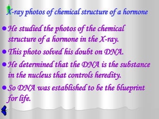 X-ray photos of chemical structure of a hormone
 He studied the photos of the chemical
  structure of a hormone in the X-ray.
 This photo solved his doubt on DNA.
 He determined that the DNA is the substance
  in the nucleus that controls heredity.
 So DNA was established to be the blueprint
  for life.
 