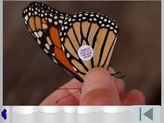 The making of a scientist 