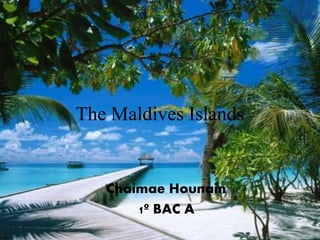The Maldives Islands
Chaimae Hounain
1º BAC A
 