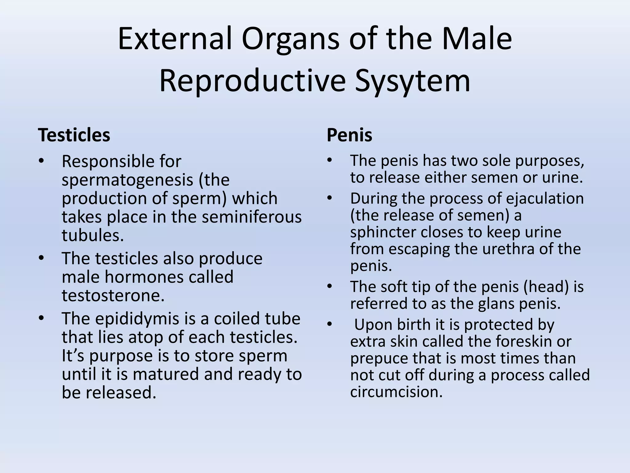 The male reproductive system | PPTX