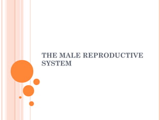 THE MALE REPRODUCTIVE
SYSTEM
 