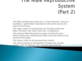 •The Male reproductive System has @ main functions. They are
to produce sperm( Male reproductive cell) and to secrete the
male sex hormones.
•The major organs of reproduction are located outside the
body: The penis, two testes each with an epidermis.
•The external Male Reproductive organs include the penis,
which contains the urethra(carries both urine and semen to the
outside of the body).
•The system refers to the genitourinary system.

•The internal glands of reproduction includes two seminal
vesicles, two vas deferens, the prostate gland and two
bulbourethral glands.
 