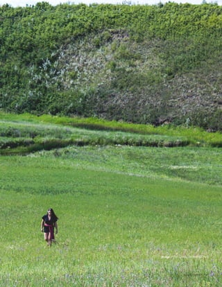 Issue 001 Kîyokêwin // 043
Image // Fish Creek, SK (Marcel Petit)
 