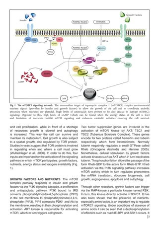 The mammalian target of rapamycin a cell key modulator of ageing | PDF