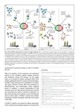 The mammalian target of rapamycin a cell key modulator of ageing | PDF