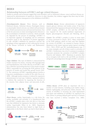 The mammalian target of rapamycin a cell key modulator of ageing | PDF