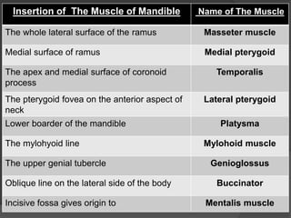 Insertion of The Muscle of Mandible Name of The Muscle
The whole lateral surface of the ramus Masseter muscle
Medial surface of ramus Medial pterygoid
The apex and medial surface of coronoid
process
Temporalis
The pterygoid fovea on the anterior aspect of
neck
Lateral pterygoid
Lower boarder of the mandible Platysma
The mylohyoid line Mylohoid muscle
The upper genial tubercle Genioglossus
Oblique line on the lateral side of the body Buccinator
Incisive fossa gives origin to Mentalis muscle
 