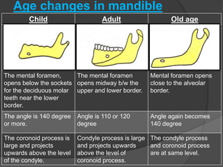 Age changes in mandible
Child Adult Old age
The mental foramen,
opens below the sockets
for the deciduous molar
teeth near the lower
border.
The mental foramen
opens midway b/w the
upper and lower border.
Mental foramen opens
close to the alveolar
border.
The angle is 140 degree
or more.
Angle is 110 or 120
degree
Angle again becomes
140 degree
The coronoid process is
large and projects
upwards above the level
of the condyle.
Condyle process is large
and projects upwards
above the level of
coronoid process.
The condyle process
and coronoid process
are at same level.
 