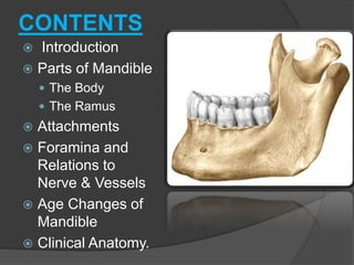 CONTENTS
 Introduction
 Parts of Mandible
 The Body
 The Ramus
 Attachments
 Foramina and
Relations to
Nerve & Vessels
 Age Changes of
Mandible
 Clinical Anatomy.
 