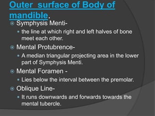 Outer surface of Body of
mandible.
 Symphysis Menti-
 the line at which right and left halves of bone
meet each other.
 Mental Protubrence-
 A median triangular projecting area in the lower
part of Symphysis Menti.
 Mental Foramen -
 Lies below the interval between the premolar.
 Oblique Line-
 It runs downwards and forwards towards the
mental tubercle.
 