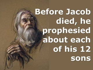 Before Jacob
died, he
prophesied
about each
of his 12
sons
 