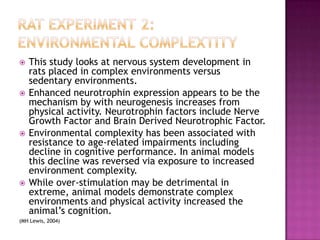 Rat Experiment 2:Environmental complextityThis study looks at nervous system development in rats placed in complex environments versus sedentary environments.Enhanced neurotrophin expression appears to be the mechanism by with neurogenesis increases from physical activity. Neurotrophin factors include Nerve Growth Factor and Brain Derived Neurotrophic Factor.Environmental complexity has been associated with resistance to age-related impairments including decline in cognitive performance. In animal models this decline was reversed via exposure to increased environment complexity.While over-stimulation may be detrimental in extreme, animal models demonstrate complex environments and physical activity increased the animal’s cognition.(MH Lewis, 2004)